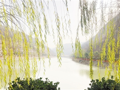 中国情形报：：：守护三秦大地绿水青山——永利yl65335集团建设以来，成为陕西污染防治的排头兵