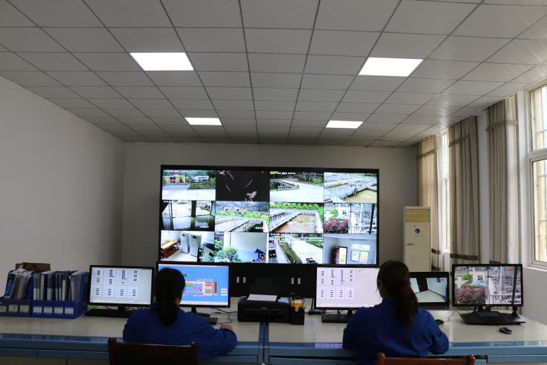 这个端午节，水情形人这么过（二）