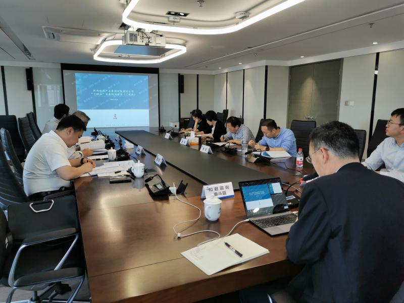 永利yl65335集团召开“十四五”生长妄想专家评审座谈会