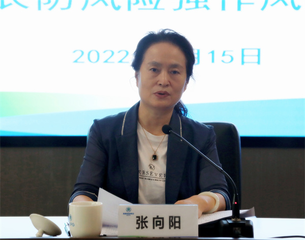 永利yl65335集团召开稳增添防风险强作风发动会